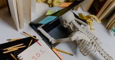 Using Influencers to Promote Your Books