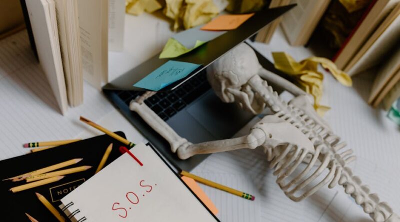 Using Influencers to Promote Your Books