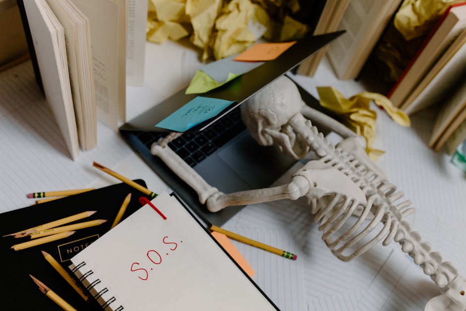 Using Influencers to Promote Your Books
